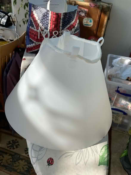 Photo of free Large, ‘cone of shame’ for dog (BN43) #1