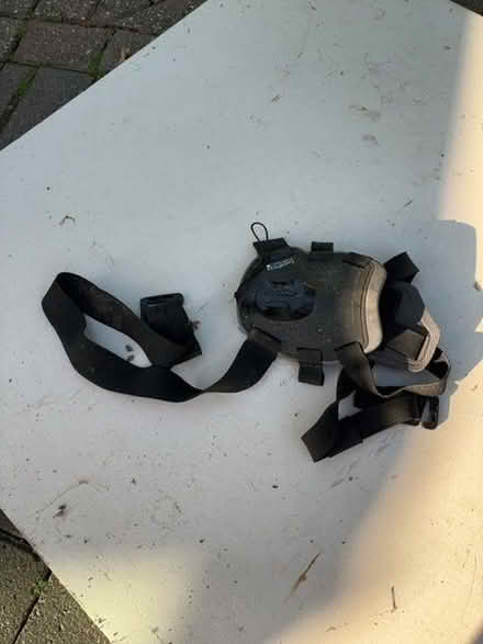 Photo of free Dog harness for Go-pro camera (Berkhamsted HP4) #1