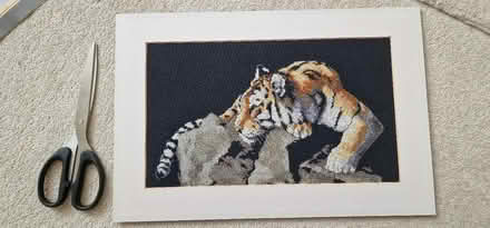 Photo of free Tiger cross stitch (Hillsborough S6) #1