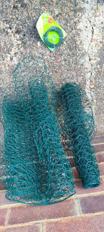 Photo of free Plastic coated green chicken wire type fencing (Chelmsford CM1) #1