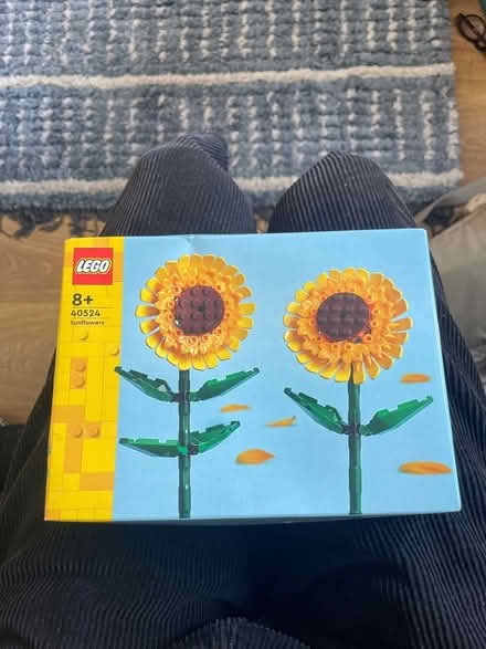 Photo of free lego sunflower kit unopened (SW2) #1