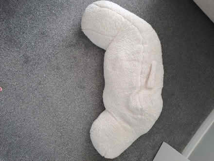 Photo of free Cuddle Teddy cushion (Moulsham CM2) #1