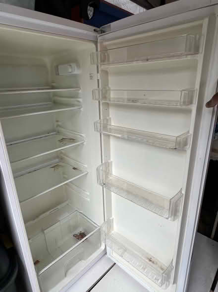 Photo of free Freestanding fridge (Isleworth TW7) #1