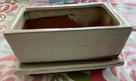 Photo of free Bonsai pot (New Barnet EN4) #1