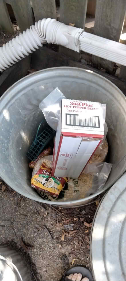 Photo of free 4 spotless steel trashcans (Capitol Hill, 10th & G SE) #2