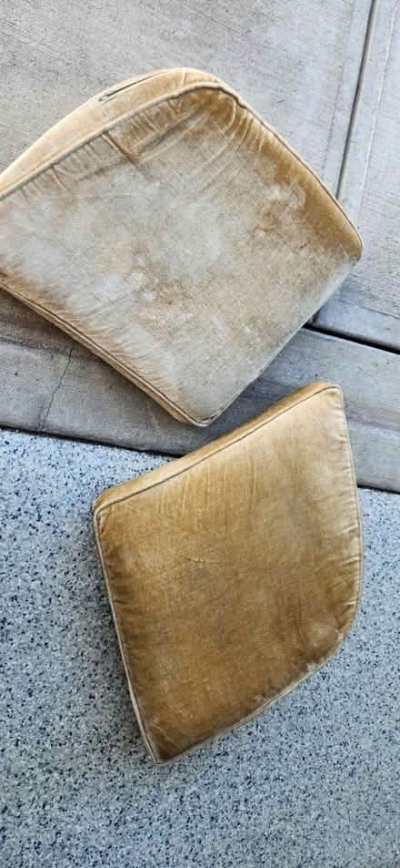 Photo of free Couch cushions (Union, KY) #1