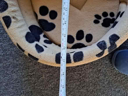 Photo of free Puppy or small dog basket (melksham east SN12) #2