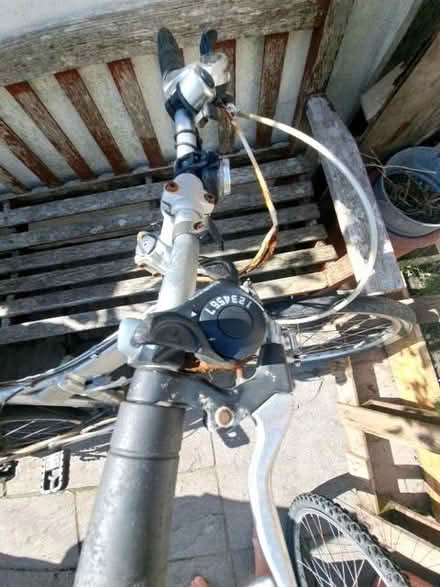 Photo of free Folding ladies bike (Seaside BN22) #2