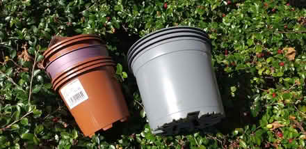 Photo of free Plastic pots (Thornton Heath CR7) #1