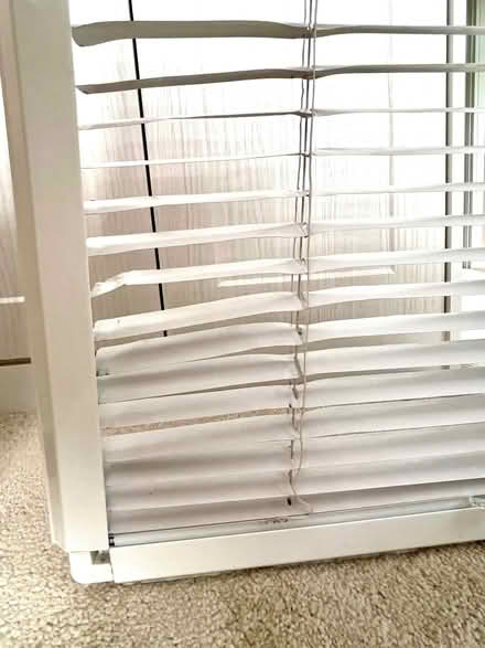 Photo of free Window blinds (clip in) (Nunnery Wood WR5) #2