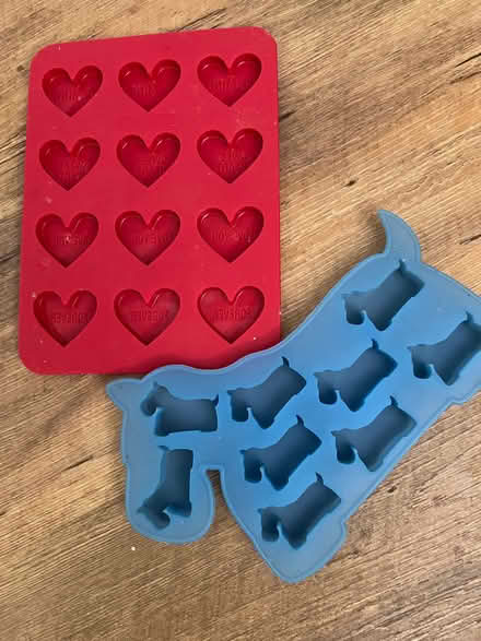Photo of free chocolate or ice moulds (Rowsley DE4) #1
