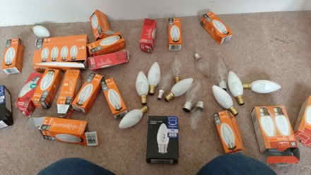 Photo of free 50+ incandescent 40w light bulbs (paignton, near big tree) #1