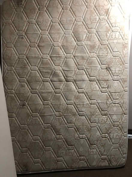 Photo of free Faux Leather Sleigh Style Bed (DA12) #2