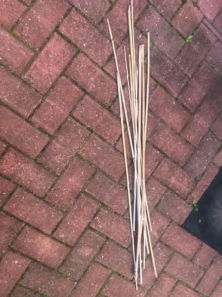 Photo of free Canes x 10 (Barnard's Green WR14) #1