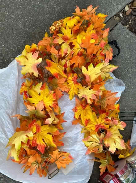 Photo of free Christmas / fall craft supplies (Near downtown Pleasanton) #4