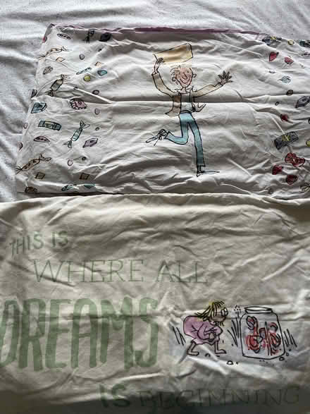 Photo of free 2x single bedding Roald Dahl (Borrowash DE72) #1