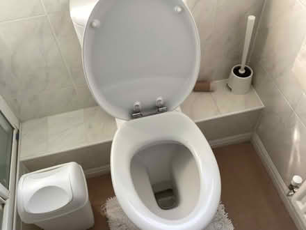 Photo of free Bathroom fittings (Saint Leonards Ward EX2) #3