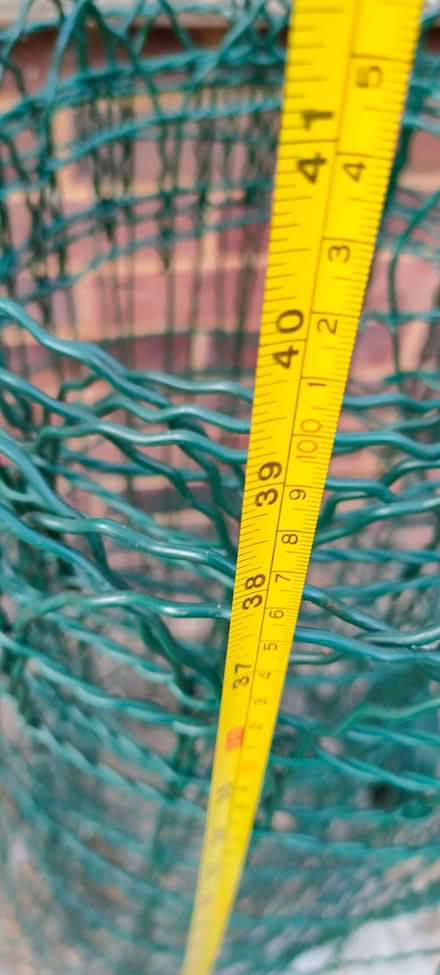 Photo of free Green plastic coated wire fencing (Chelmsford CM1) #1