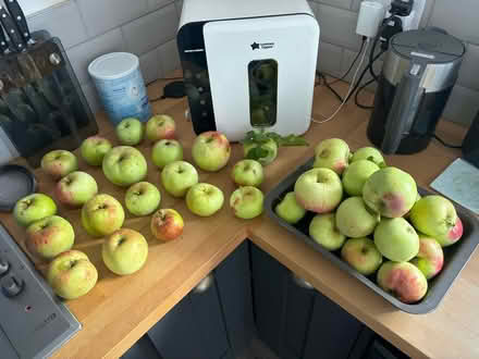 Photo of free Cooking apples (West Kirby) #1