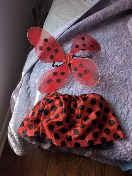 Photo of free Lady bug costume (Derwood) #1