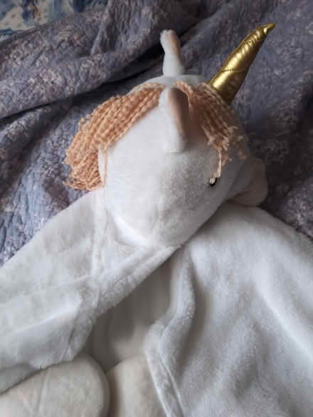 Photo of free Unicorn blanket snuggy (Derwood) #1