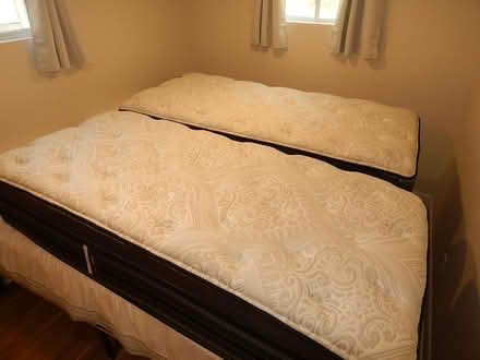 Photo of free 2 twin mattresses (Old town NOTL) #1