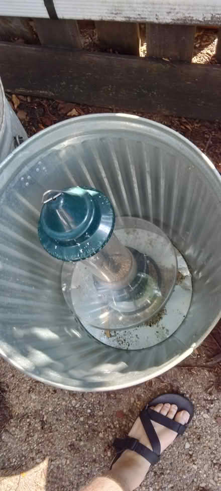 Photo of free 4 spotless steel trashcans (Capitol Hill, 10th & G SE) #3