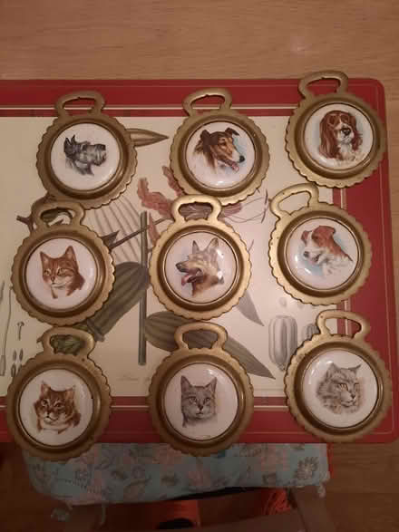 Photo of free Decorative Brasses (CA7) #1