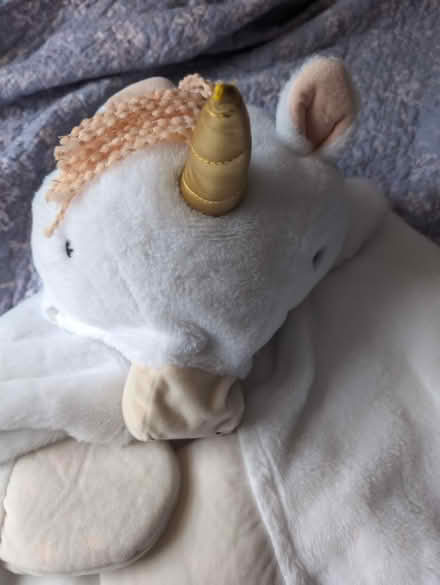 Photo of free Unicorn blanket snuggy (Derwood) #2