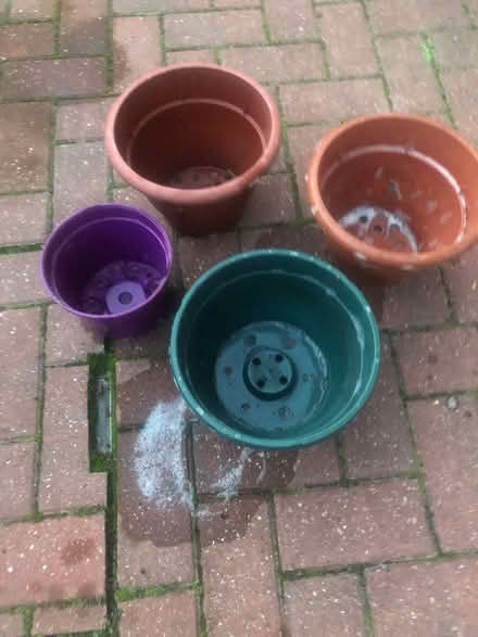 Photo of free Plant pots (Barnard's Green WR14) #1