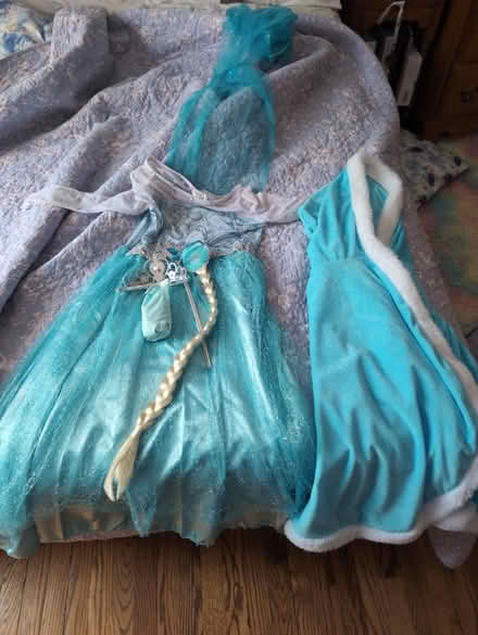 Photo of free Disney Elsa Frozen (Derwood) #1