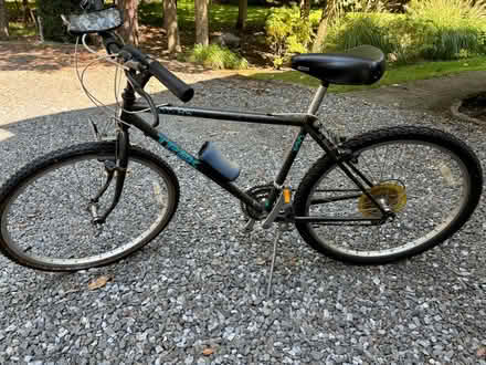 Photo of free 4 Bicycles (Medford, NJ) #3