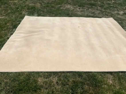 Photo of free Large rug (North Canton) #1