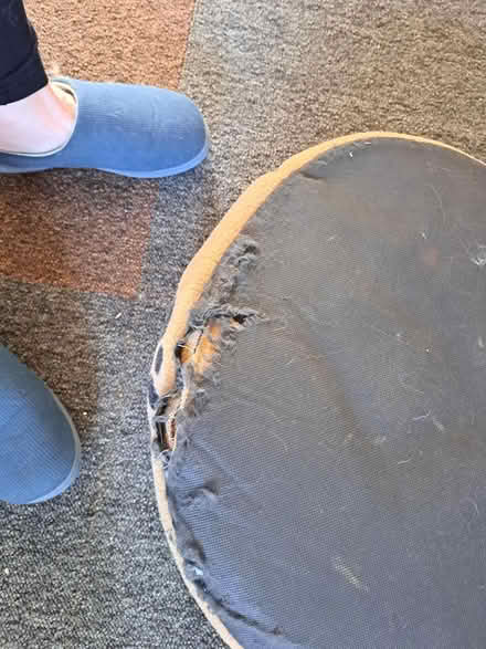 Photo of free Puppy or small dog basket (melksham east SN12) #3