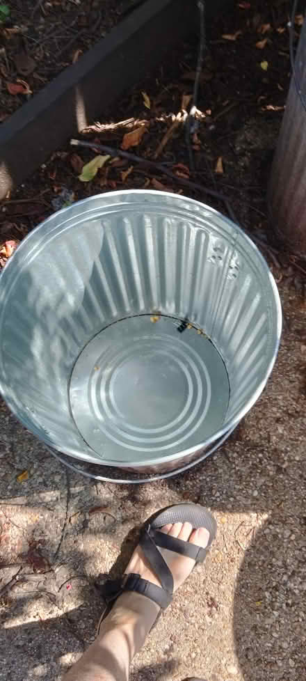 Photo of free 4 spotless steel trashcans (Capitol Hill, 10th & G SE) #1