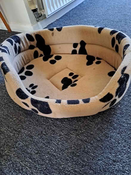 Photo of free Puppy or small dog basket (melksham east SN12) #1