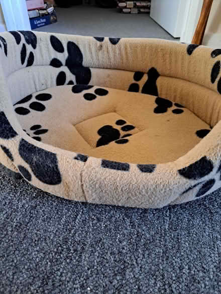 Photo of free Puppy or small dog basket (melksham east SN12) #4