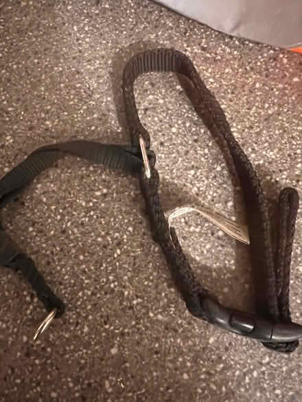 Photo of free Dog training lead (Panshanger AL7) #1