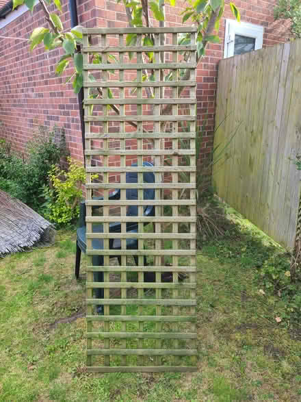 Photo of free Wooden climbing plant trellis 6x2 feet (Seaton Delaval NE25) #1