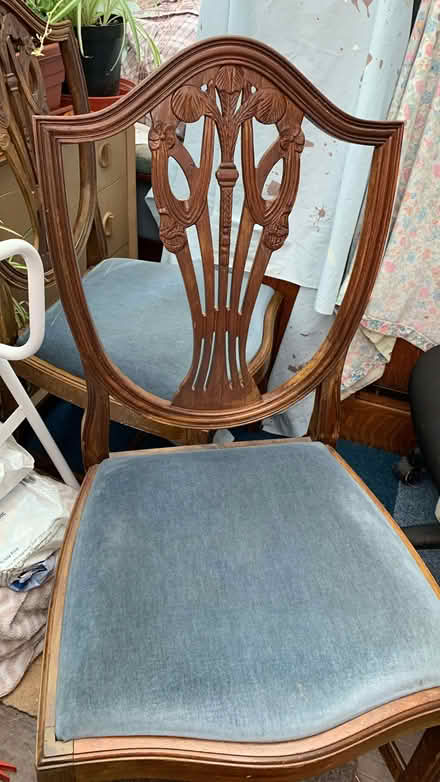 Photo of free Two dining room chairs (Enfield EN1) #1