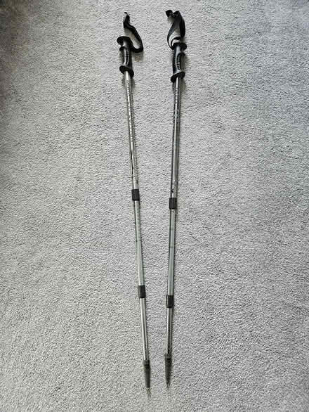 Photo of free Hiking poles (W13 near Lammas/Walpole) #1