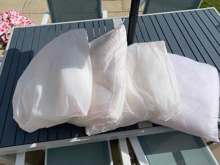 Photo of free 4x 45cm sq cushion inserts (Northborough PE6) #1