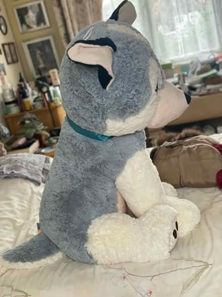 Photo of free Giant toy husky dog soft toy (South Hounslow off Central Av) #4