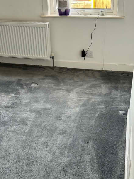 Photo of free Grey Saxony carpet and underlay (DA7) #3
