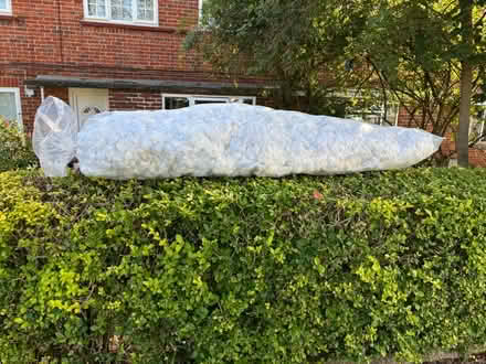 Photo of free Teddy Bear Cushion Pillow filling (HA8) #1