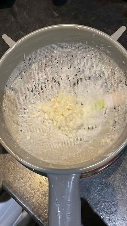 Photo of free Kefir grains (Baldock SG7) #1