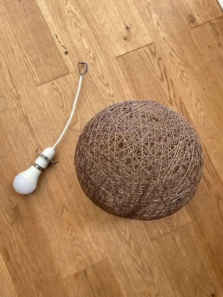 Photo of free Lampshade and light (Landport, lewes) #1