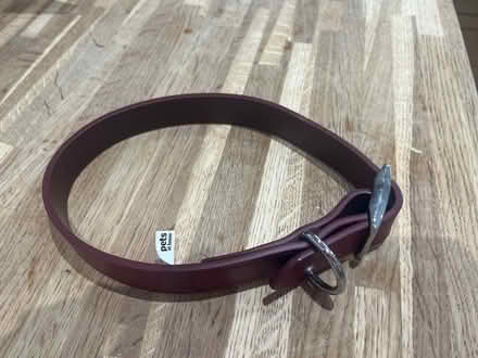 Photo of free Burgundy leather dog collar (Swindon SN3) #1