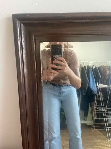 Photo of free Large Mirror (BR3) #3