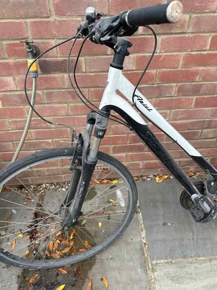 Photo of free Specialized Ariel women’s bike (Burpham, Guildford) #4